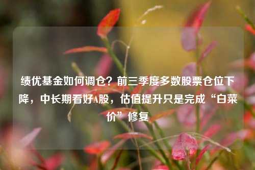 绩优基金如何调仓？前三季度多数股票仓位下降，中长期看好A股，估值提升只是完成“白菜价”修复