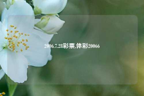 2006.7.28彩票,体彩20066