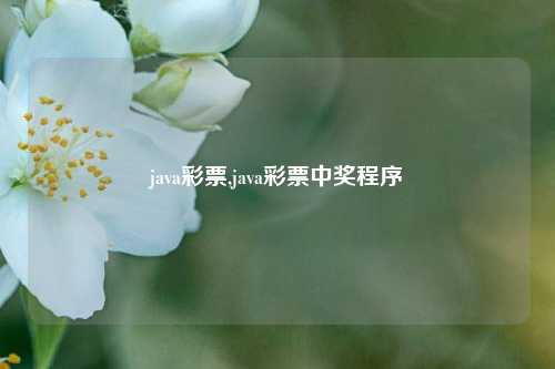 java彩票,java彩票中奖程序