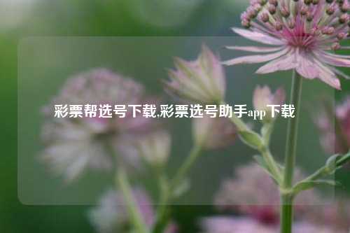 彩票帮选号下载,彩票选号助手app下载