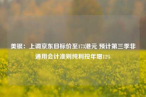 美银：上调京东目标价至173港元 预计第三季非通用会计准则纯利按年增12%