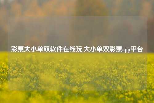 彩票大小单双软件在线玩,大小单双彩票app平台