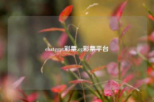 chatggpt彩票,cg彩票平台