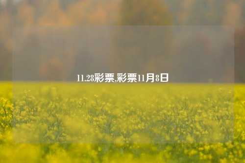 11.28彩票,彩票11月8日