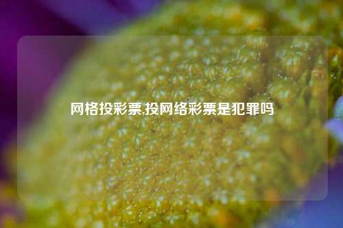 网格投彩票,投网络彩票是犯罪吗