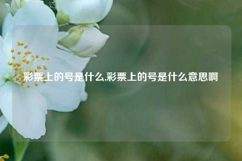 彩票上的号是什么,彩票上的号是什么意思啊