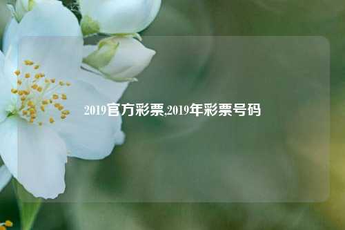 2019官方彩票,2019年彩票号码