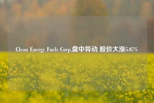 Clean Energy Fuels Corp.盘中异动 股价大涨5.07%