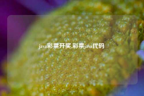 java彩票开奖,彩票java代码