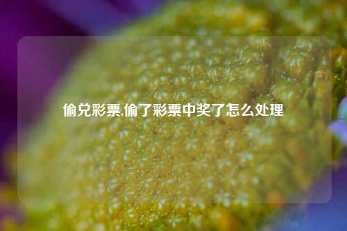 偷兑彩票,偷了彩票中奖了怎么处理