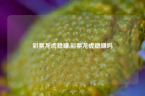 彩票龙虎稳赚,彩票龙虎稳赚吗