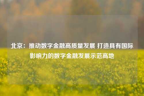 北京：推动数字金融高质量发展 打造具有国际影响力的数字金融发展示范高地