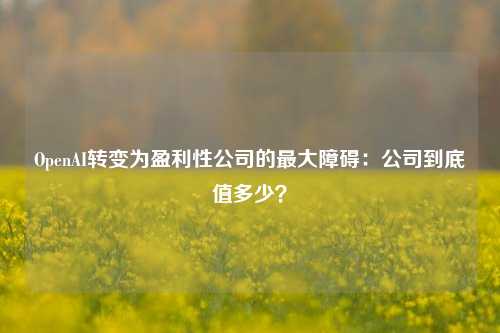 OpenAI转变为盈利性公司的最大障碍：公司到底值多少？