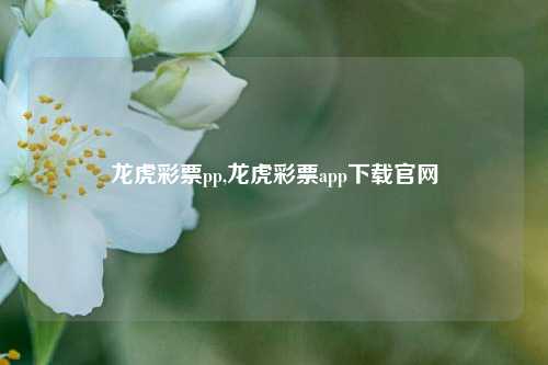 龙虎彩票pp,龙虎彩票app下载官网