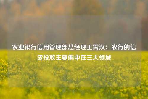 农业银行信用管理部总经理王霄汉：农行的信贷投放主要集中在三大领域