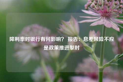 降利率对银行有何影响？ 报告：息差风险不应是政策推进掣肘