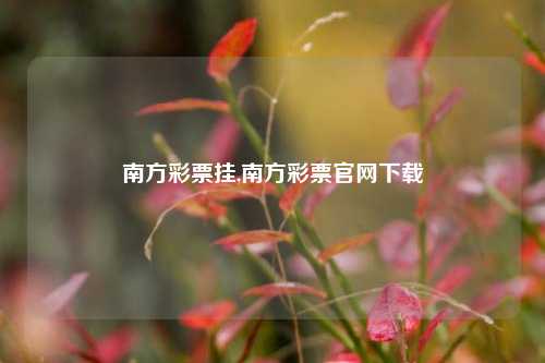 南方彩票挂,南方彩票官网下载