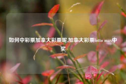 如何中彩票加拿大彩票呢,加拿大彩票lotto max中奖