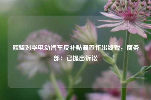 欧盟对华电动汽车反补贴调查作出终裁，商务部：已提出诉讼