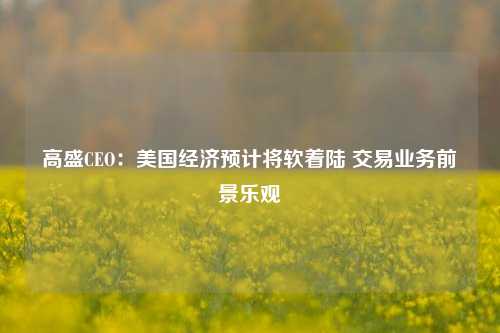 高盛CEO：美国经济预计将软着陆 交易业务前景乐观