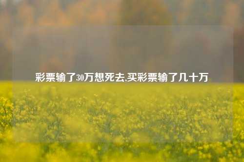 彩票输了30万想死去,买彩票输了几十万