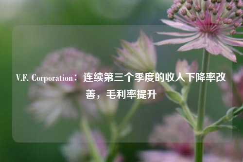 V.F. Corporation：连续第三个季度的收入下降率改善，毛利率提升