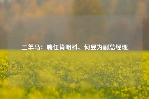 三羊马：聘任肖明科、何昱为副总经理