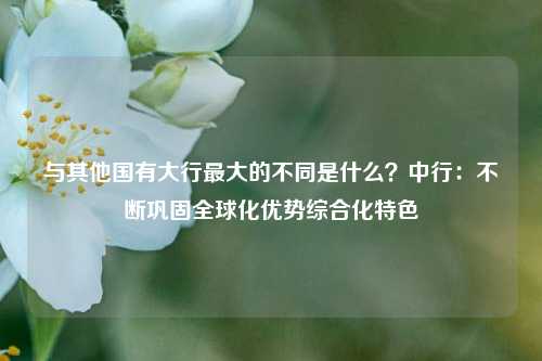 与其他国有大行最大的不同是什么？中行：不断巩固全球化优势综合化特色