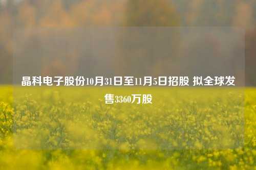 晶科电子股份10月31日至11月5日招股 拟全球发售3360万股