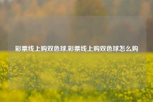 彩票线上购双色球,彩票线上购双色球怎么购