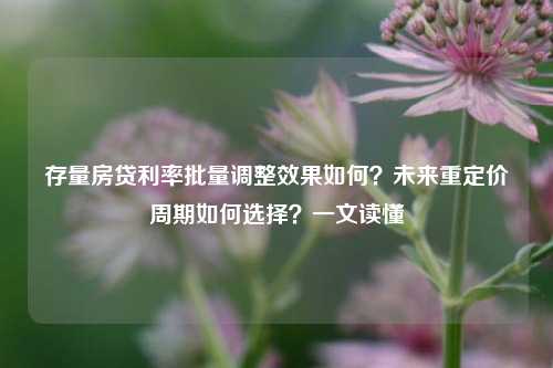 存量房贷利率批量调整效果如何？未来重定价周期如何选择？一文读懂