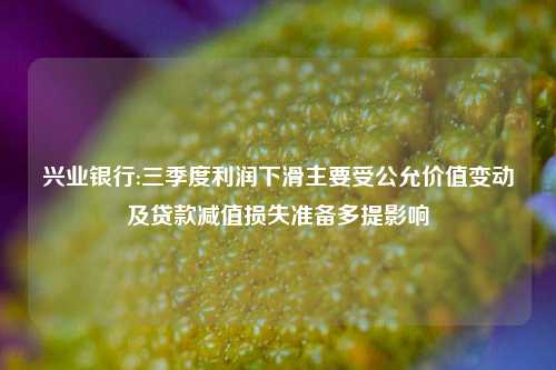 兴业银行:三季度利润下滑主要受公允价值变动及贷款减值损失准备多提影响