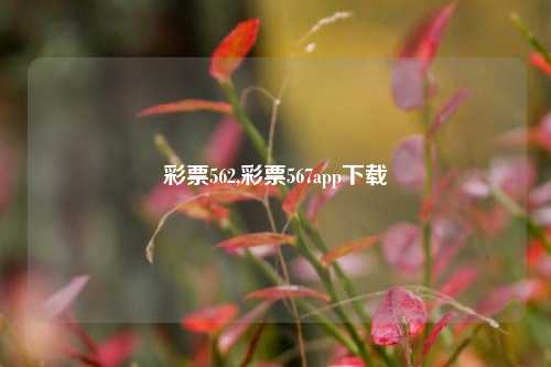 彩票562,彩票567app下载