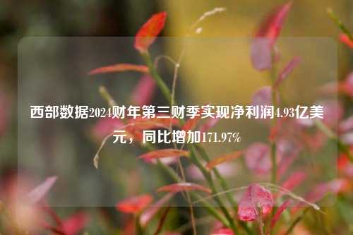 西部数据2024财年第三财季实现净利润4.93亿美元，同比增加171.97%