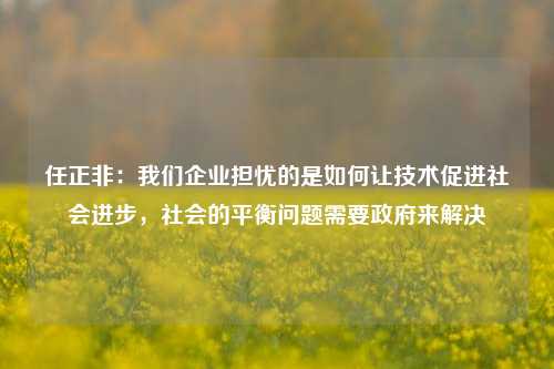 任正非：我们企业担忧的是如何让技术促进社会进步，社会的平衡问题需要政府来解决