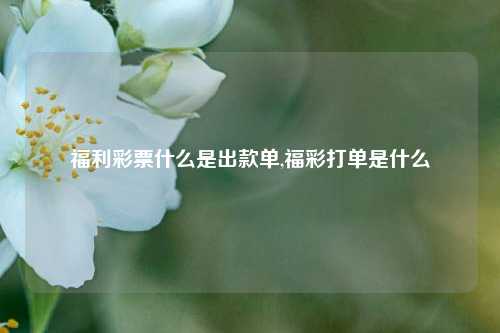 福利彩票什么是出款单,福彩打单是什么