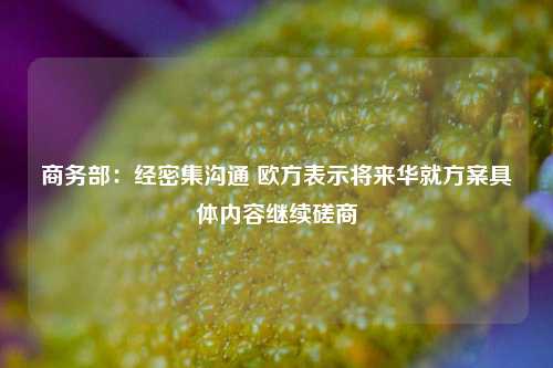 商务部：经密集沟通 欧方表示将来华就方案具体内容继续磋商