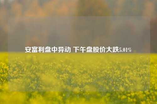 安富利盘中异动 下午盘股价大跌5.01%