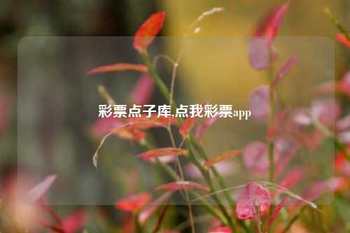 彩票点子库,点我彩票app