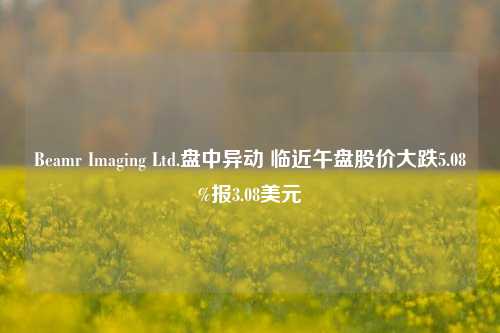 Beamr Imaging Ltd.盘中异动 临近午盘股价大跌5.08%报3.08美元