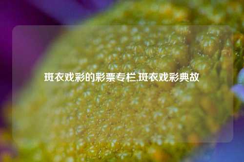 斑衣戏彩的彩票专栏,斑衣戏彩典故