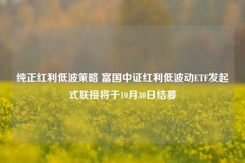 纯正红利低波策略 富国中证红利低波动ETF发起式联接将于10月30日结募