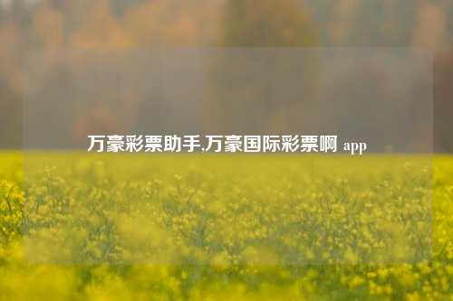 万豪彩票助手,万豪国际彩票啊 app