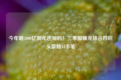 今年砸2000亿明年还加码！三季报曝光硅谷四巨头豪赌AI手笔