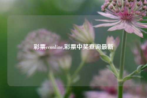 彩票cconline,彩票中奖查询最新