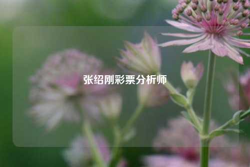 张绍刚彩票分析师