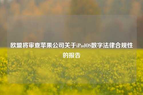 欧盟将审查苹果公司关于iPadOS数字法律合规性的报告