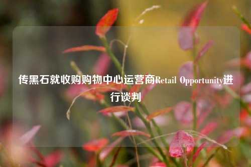 传黑石就收购购物中心运营商Retail Opportunity进行谈判