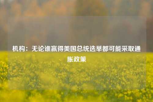 机构：无论谁赢得美国总统选举都可能采取通胀政策