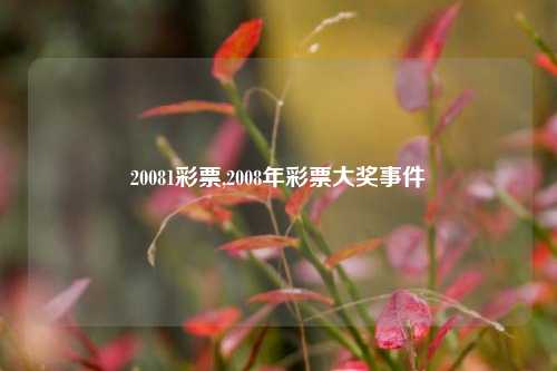 20081彩票,2008年彩票大奖事件